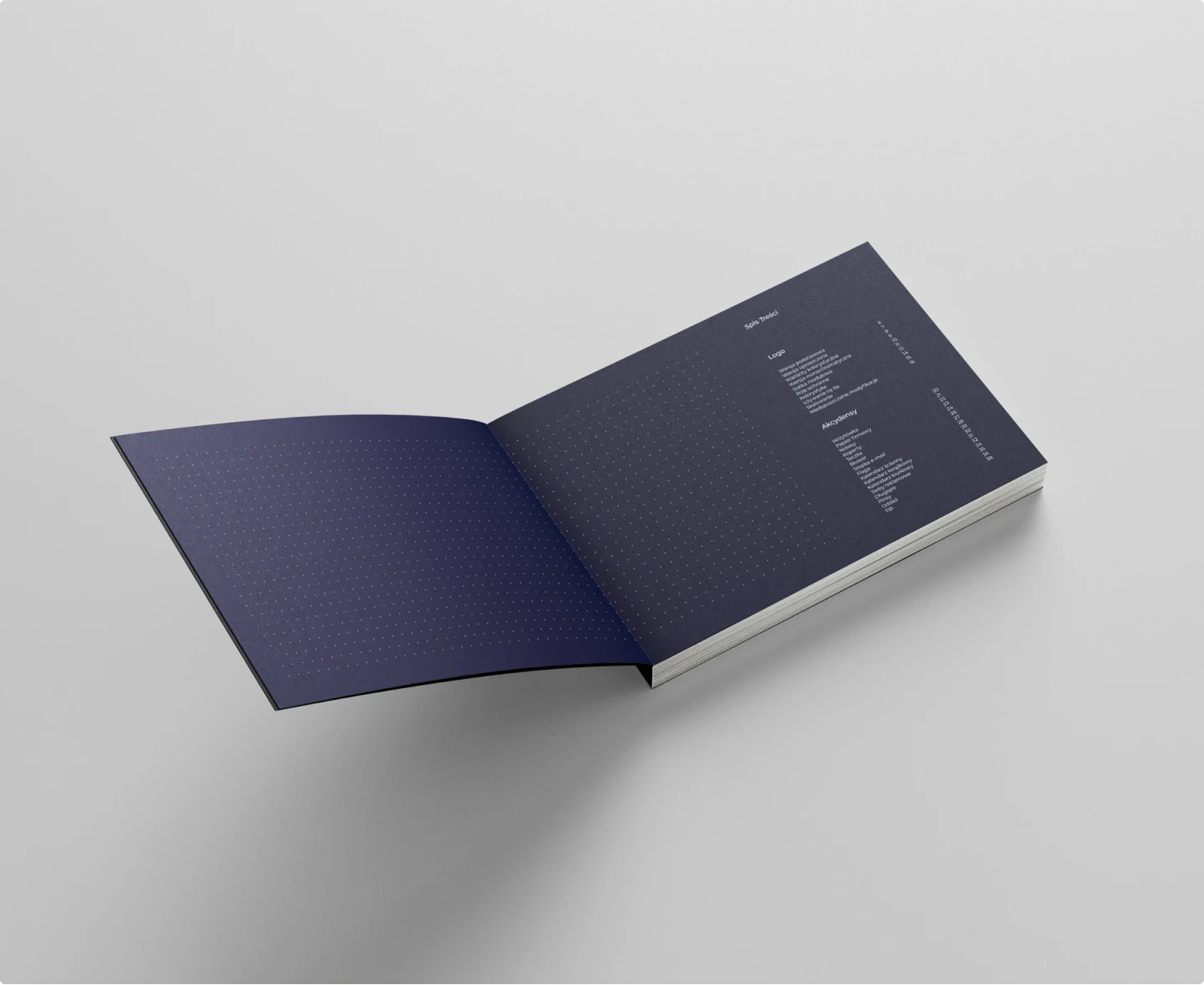 CTK Logistics prezentuje elegancki brandbook z ciemnoniebieską okładką i złotymi akcentami, podkreślającymi nowoczesny i profesjonalny charakter marki.