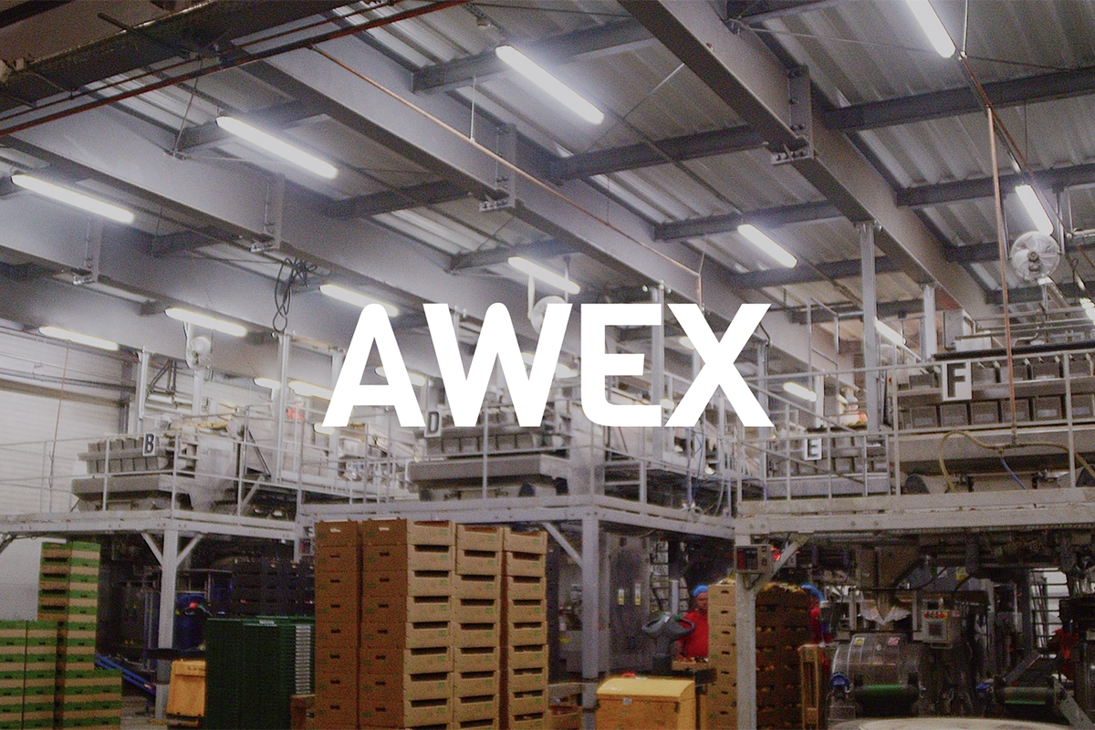 Logo "AWEX" na tle nowoczesnej hali przemysłowej. Prosta, mocna typografia podkreśla solidność i profesjonalizm firmy działającej w sektorze przemysłowym lub technologicznym.