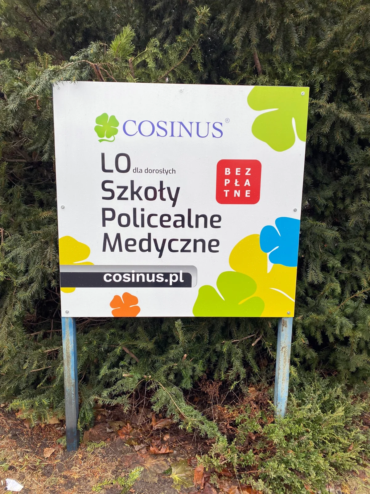 Cosinus
			 - Reklama zewnętrzna i wewnętrzna
