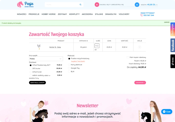 Obraz przedstawia proces zakupowy w sklepie internetowym "Pasja Hobby Horse". Widać zawartość koszyka, podsumowanie zamówienia oraz opcje płatności i dostawy.