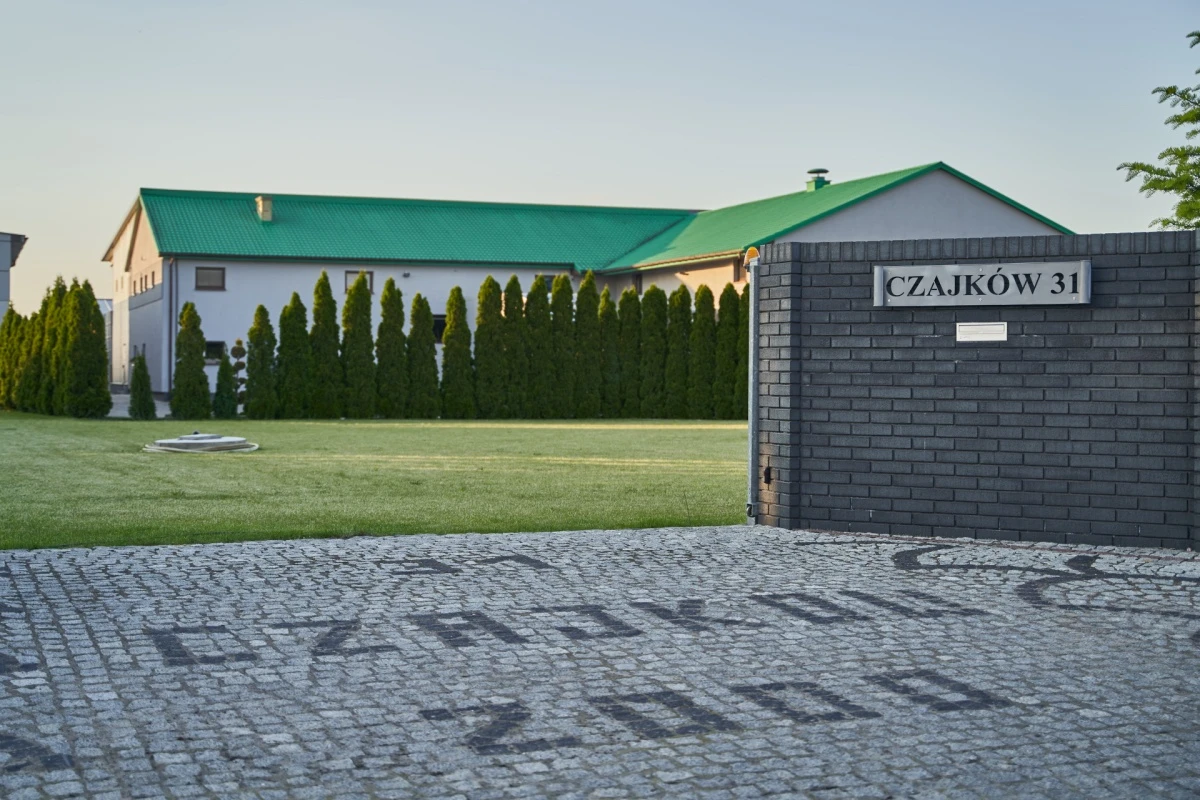 Słoneczne pole - Fotografia